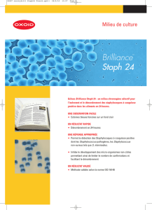 26687 oxoid_Brill Staph24 French.qxd:1