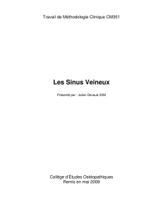 Les Sinus Veineux