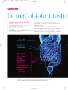 Le microbiote intesti n