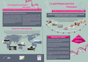 La génétique porcine française
