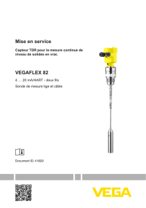 Mise en service - VEGAFLEX 82 - 4 … 20 mA/HART