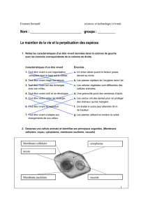 examen formatif.corrigé vivant