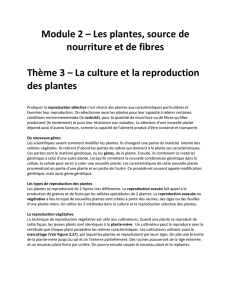 Module 2 – Les plantes, source de nourriture et de fibres Thème 3