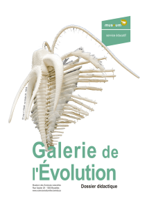 Dossier didactique - Royal Belgian Institute of Natural Sciences