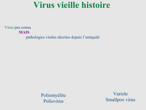 Virus vieille histoire