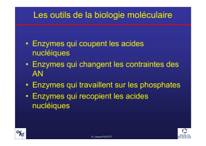 Les outils de la biologie moléculaire