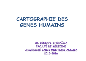 CARTOGRAPHIE DES GENES HUMAINS