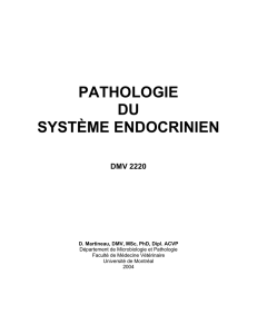 pathologie du système endocrinien