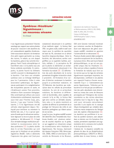 Symbiose rhizobium/ légumineuse : un nouveau - iPubli