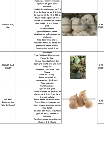 LISTE TOMATES MIRLIGUMES.xlsx