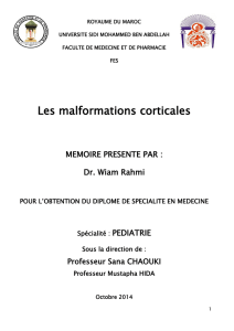 Les malformations corticales