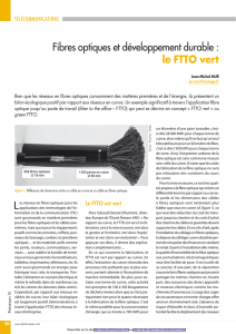 Fibres optiques et développement durable : le FTTO vert