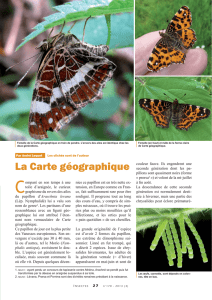La Carte géographique / Insectes n° 170