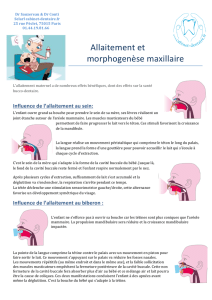 Allaitement et morphogenèse maxillaire - cabinet