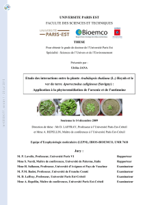 Etude des interactions entre la plante Arabidopsis thaliana (L