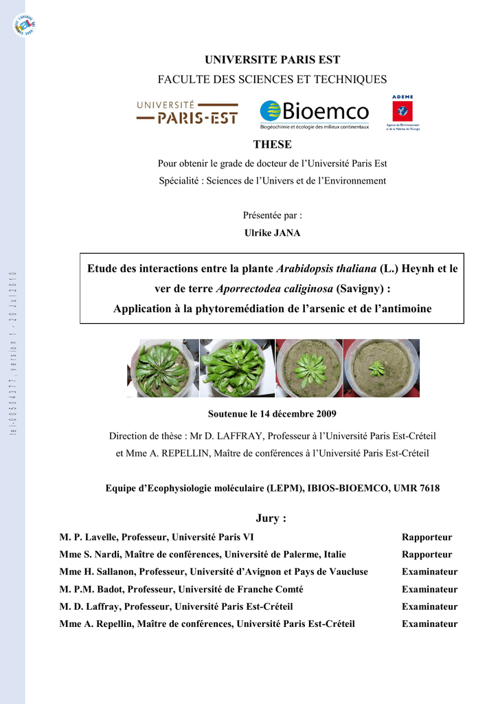 Etude des interactions entre la plante Arabidopsis thaliana (L - 