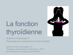 La fonction thyroïdienne (B Roques)