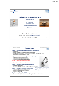 Robotique et Recalage 3-D - AVR