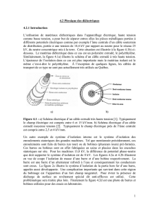 Physique, pdf - 850 Ko