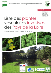 Liste des plantes vasculaires invasives des Pays de la Loire Juillet