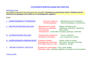 CH4 DIVERSITE MORPHOLOGIQUE DES VÉGÉTAUX