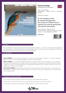 Faune sauvage - page centrale