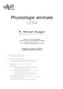 Physiologie animale L2S4