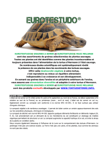 EUROTESTUDO® GRAINES A SEMER et EUROTESTUDO