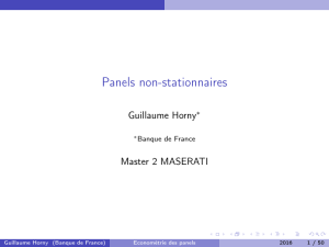 Panels non-stationnaires - Guillaume Horny`s Homepage