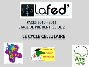 Cycle cellulaire