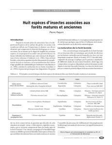 Huit espèces d`insectes associées aux forêts matures et anciennes
