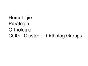 Homologie Paralogie Orthologie COG : Cluster of Ortholog Groups