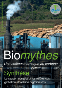 l`arnaque de carbone coûteuse de la bioénergie ∙ Décembre 2015
