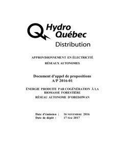 Document d`appel de propositions A/P 2016-01 - Hydro