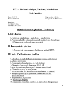 D1-UE3-Gonthier-Métabolisme_des_glucides (1)-2015-pdf