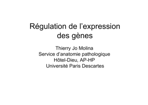 cours DES regulation exp genesT Molina
