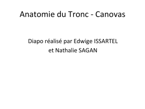 Anatomie du Tronc - Canovas
