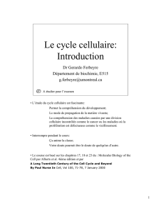 Le cycle cellulaire: Introduction