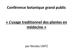 Conférence botanique grand publique « L`usage traditionnel des