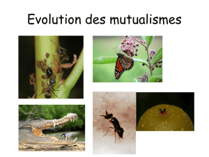 II Origine et évolution des mutualismes