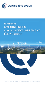 DES ENTREPRISES, ACTEUR DU D&Eacute;VELOPPEMENT