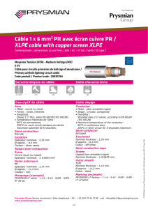 FT N°99 CABLE 1x6 mm² PR ECRAN CUIVRE PR