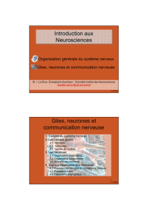 Cours_Neurosciences2