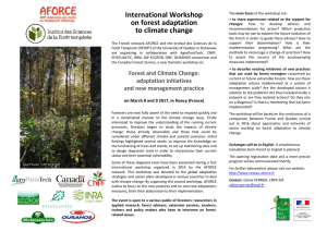 Announcement AFORCE International Workshop 08-9.03.17 EN