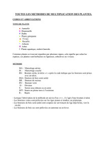 MULTIPLICATION des végétaux