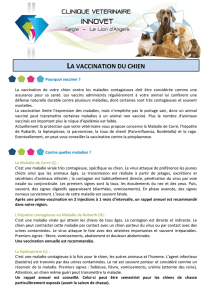 la vaccination du chien - Clinique Vétérinaire Innovet