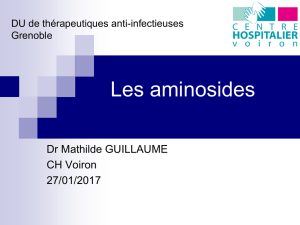 Les aminosides - Infectiologie