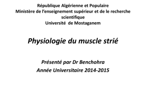 Physiologie du muscle strié
