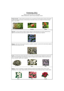 catalogue final 2011pdf