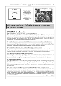 06 Syst&egrave;me nerveux cours